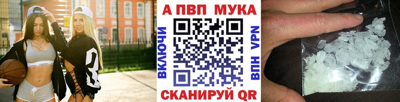 Alfa_PVP СК КРИС Западная Двина
