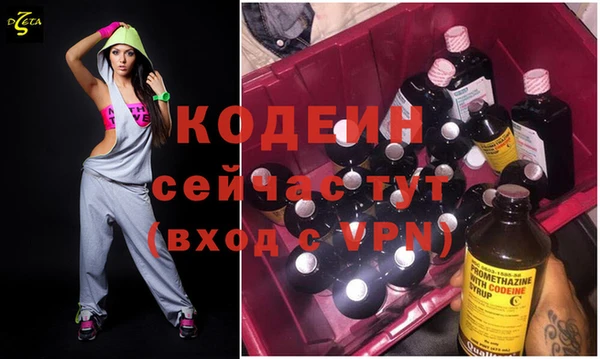 индика Иннополис