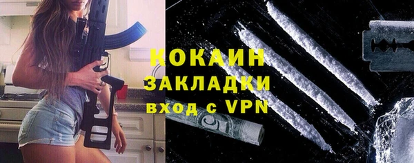 твердый Инта