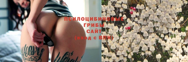 гидропоника Болотное