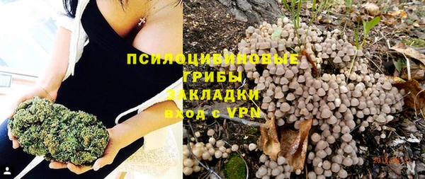 индика Иннополис
